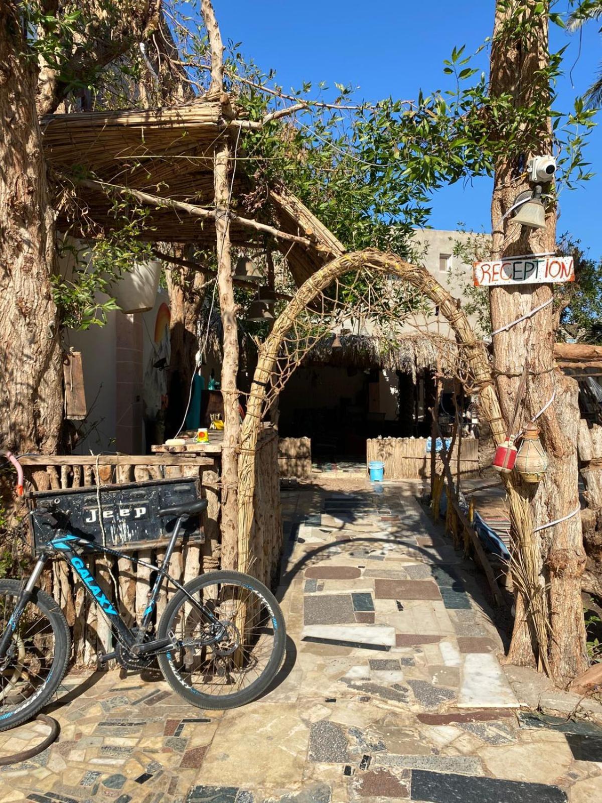 Sunrise Dahab Lodge Zewnętrze zdjęcie