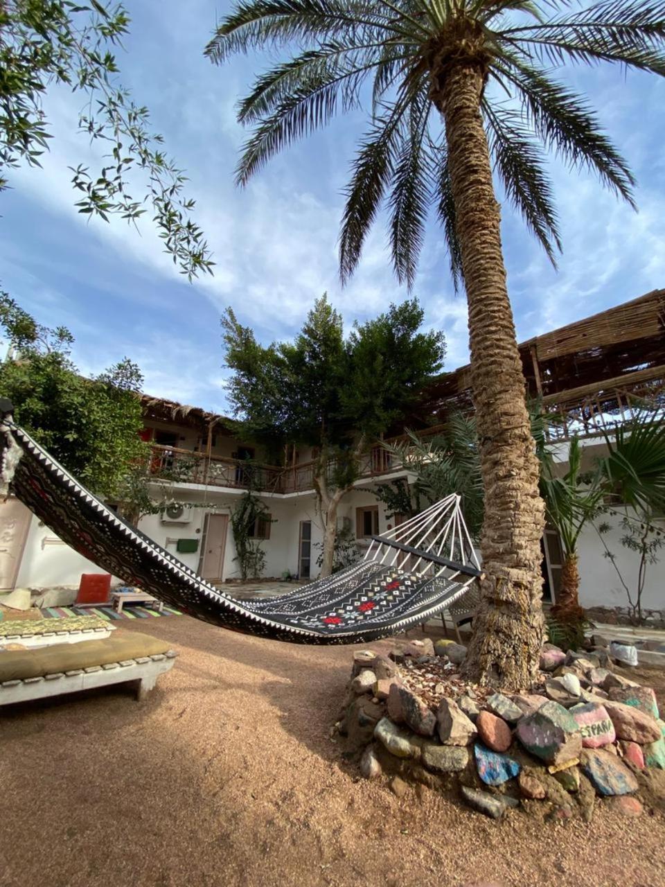 Sunrise Dahab Lodge Pokój zdjęcie